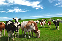 海欣食品全面扭虧，營收猛增13.48%/三全食品營收同比增12.87%