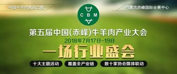 今天很痛苦，但明天很美好 規(guī)模肉牛企業(yè)發(fā)展長線看好