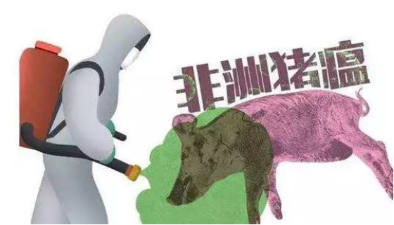 雙匯回應(yīng)火腿檢出非洲豬瘟傳言：加工過(guò)程可殺死病毒