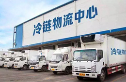 政策福利！冷鏈物流企業(yè)最高可領(lǐng)500萬(wàn)元補(bǔ)貼