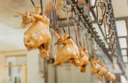 漂泊38年后花800萬“贖回”，道口燒雞老字號(hào)“義興張”商標(biāo)完璧歸趙