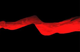 行業(yè)丨速凍食品新國家標(biāo)準(zhǔn)正式實(shí)施，這些“紅線”要注意了！