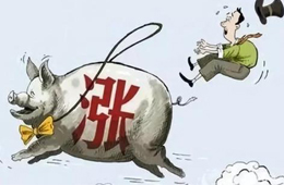 豬肉供應(yīng)量斷崖式下跌，肉價(jià)將開啟全面大漲