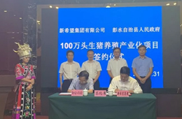 新希望六和落子渝豫甘，生豬規(guī)模再增200萬頭！