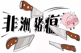 官宣 | 農(nóng)業(yè)農(nóng)村部：28省非瘟疫區(qū)解除封鎖，“豬荒”年底前有望緩解