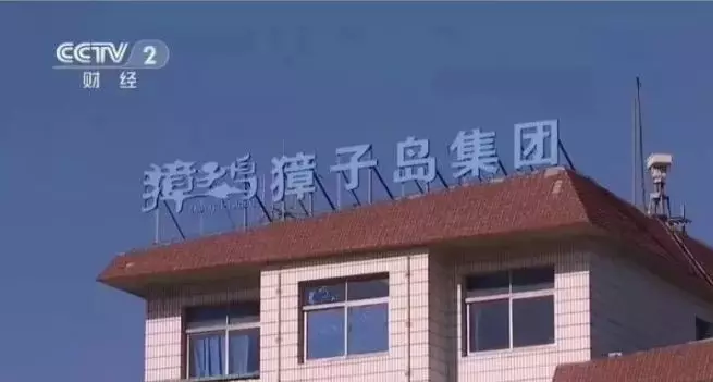 獐子島3億元扇貝“集體暴斃”？