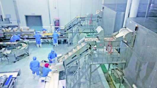  蚊蟲(chóng)、毛發(fā)、焊渣……食品車(chē)間異物如何“一掃光”