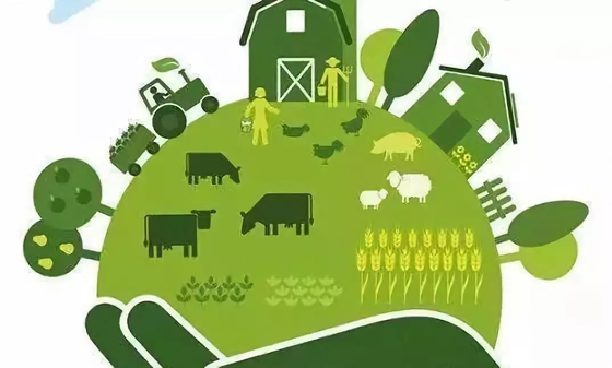 1576809687873568.png 24UY9DJTSD81O6UZ0EV_BUP.png