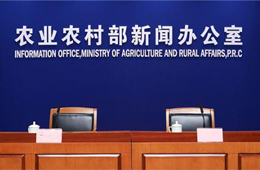 非瘟爆發(fā)至今，全國共撲殺生豬120萬頭；2萬噸儲備肉今日出庫競價