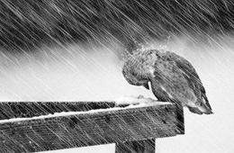 熱點(diǎn) | 海欣營(yíng)銷總監(jiān)給經(jīng)銷商的自救指南：立即行動(dòng)，應(yīng)對(duì)變化！