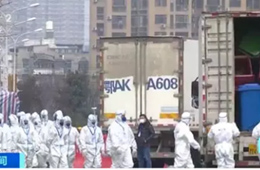 武漢華南海鮮市場完成大規(guī)模消殺；牛蛙、烏龜不列入禁食范圍