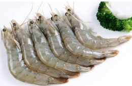 人力缺失、資金鏈斷裂！厄瓜多爾白蝦產(chǎn)能降至三分之一！多家企業(yè)面臨破產(chǎn)風險！