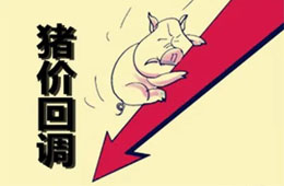  農(nóng)業(yè)農(nóng)村部：豬肉價格連8周回落，高峰或在9月前后出現(xiàn)