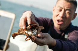 一季度電商直播超400萬(wàn)場(chǎng)！直播帶貨到底有多火？為何海鮮永遠(yuǎn)是爆品？