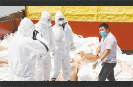 水產(chǎn)、禽肉、豬肉、牛肉…多種進(jìn)口凍品連續(xù)檢出新冠陽性，冷鏈追溯構(gòu)筑防控“安全鏈”