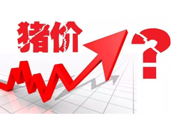 豬價(jià)又“變臉”，新一波漲勢(shì)來(lái)了？農(nóng)業(yè)農(nóng)村部：或持續(xù)到元旦春節(jié)