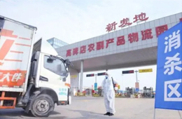 北京新發(fā)地暫停凍品等銷售和儲存；天津海聯(lián)冷庫感染源為北美豬頭