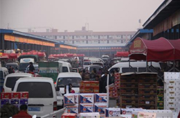 追蹤 | 冷庫(kù)停業(yè)，旺季將至，急壞凍品人！怎么辦？