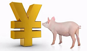 誰是國(guó)內(nèi)養(yǎng)豬第一大??？