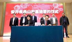 安井新動(dòng)作：國內(nèi)密集布局產(chǎn)能，海外收購英國公司開啟國際