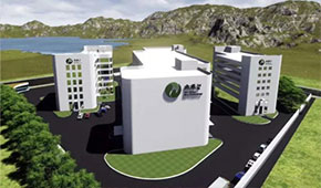 植物肉風口下的“黑馬”，三全、思念都選它