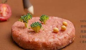 對話拉絲蛋白巨頭：植物肉是一場飲食革命，大眾消費是方向