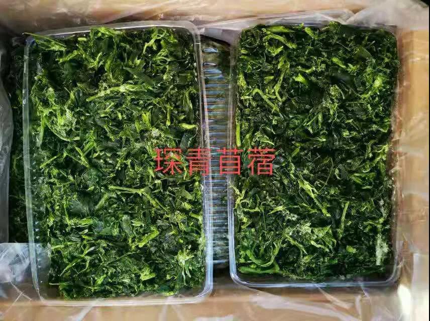 1621216048994302.jpg 1621216048994302.jpg