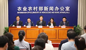 豬價(jià)下跌豬企承壓，有企業(yè)半年預(yù)虧34.5億，國(guó)家第三次出手收儲(chǔ)