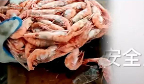 生產(chǎn)日期隨意改、過期蝦換包裝秒變合格品……味庫海鮮攤上事了，曾獲6輪融資