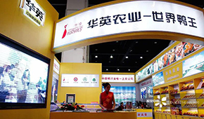  華英農(nóng)業(yè)正式進入破產(chǎn)重整，“世界鴨王”能否浴火重生？