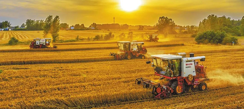 全國7/10的餃子、3/5的湯圓、1/2的火腿腸…河南這樣承包國人餐桌