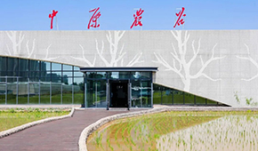 打造千億級(jí)種業(yè)和糧食產(chǎn)業(yè)集群，河南“中原農(nóng)谷”雛形初現(xiàn)