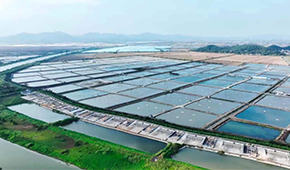 從魚塘到餐桌6重把控，半天妖攜手恒興“定向”養(yǎng)好一條魚