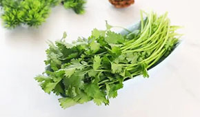 香菜餅、香菜丸、香菜油條、香菜小酥肉…香菜為啥這么“香”？