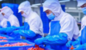 大流通“滑坡”，凍品商“卷”入餐飲終端求增長