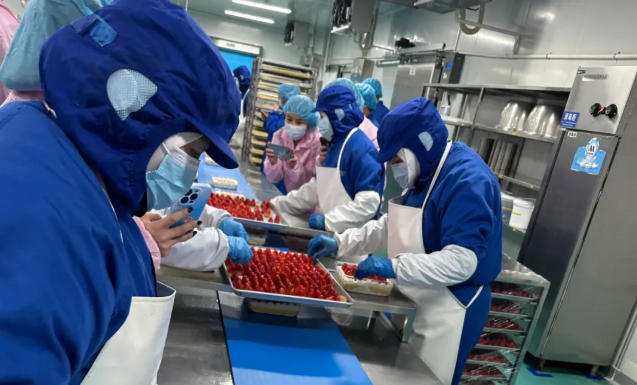 山姆麻薯驚現(xiàn)活老鼠、盒馬草莓蛋糕錯(cuò)把鹽當(dāng)糖，新零售烘焙的濾鏡碎了？