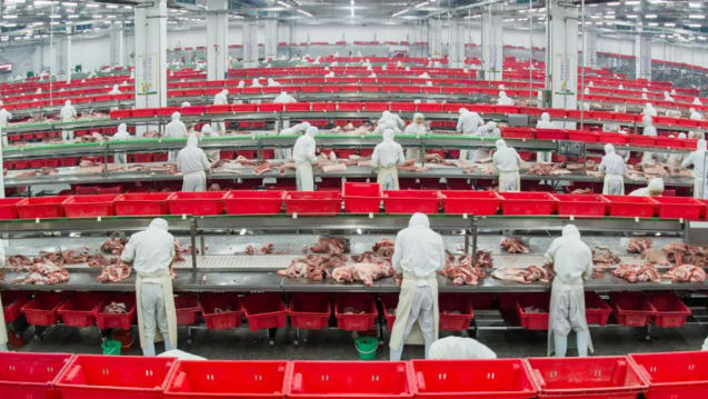 金鑼、郯潤(rùn)、齊匯、瑞發(fā)德、喜姐炸串……山東臨沂“食力派”全鏈發(fā)力、高質(zhì)躍升