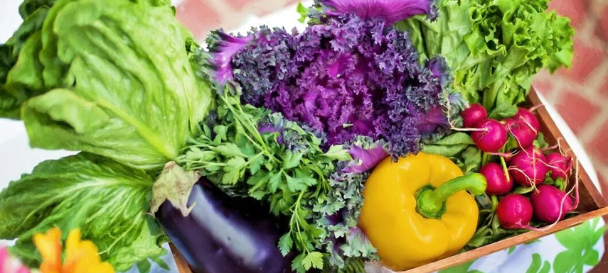 不要小看“兩歲的西蘭花”！冷凍蔬菜承載從田間到餐桌的供應(yīng)鏈革命