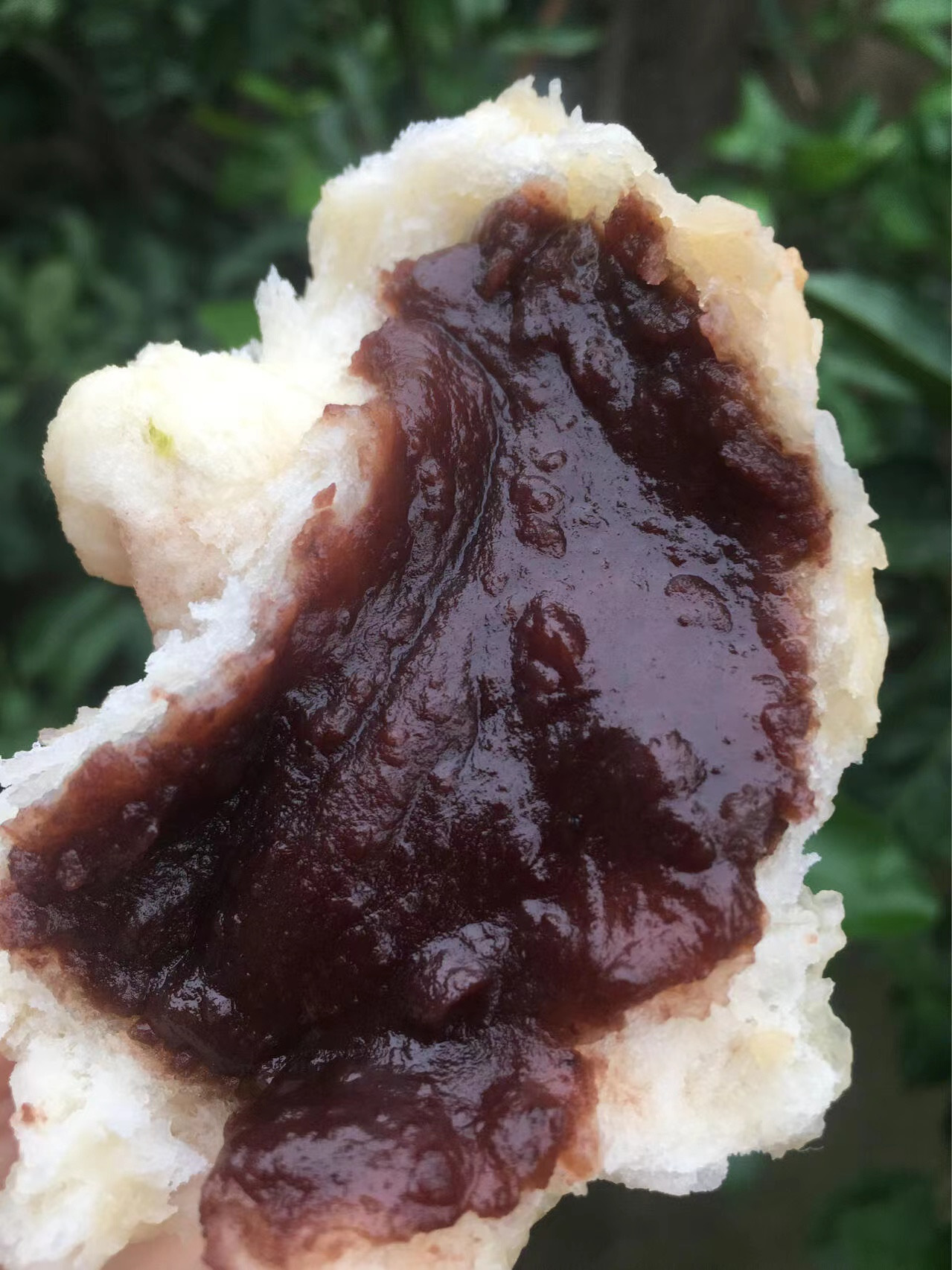 1775011700649698.jpg 1775011700649698.jpg