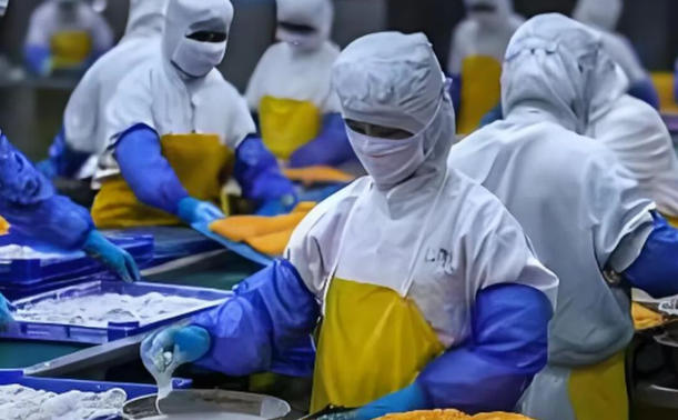 春雪、龍大、匯洋、南滬…肉制品、水產(chǎn)品、海鮮水餃全面開(kāi)花，煙臺(tái)“食”力突圍